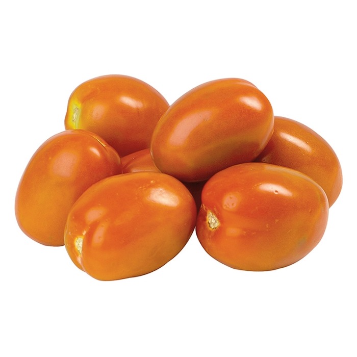 TOMATE BUGALU LBS