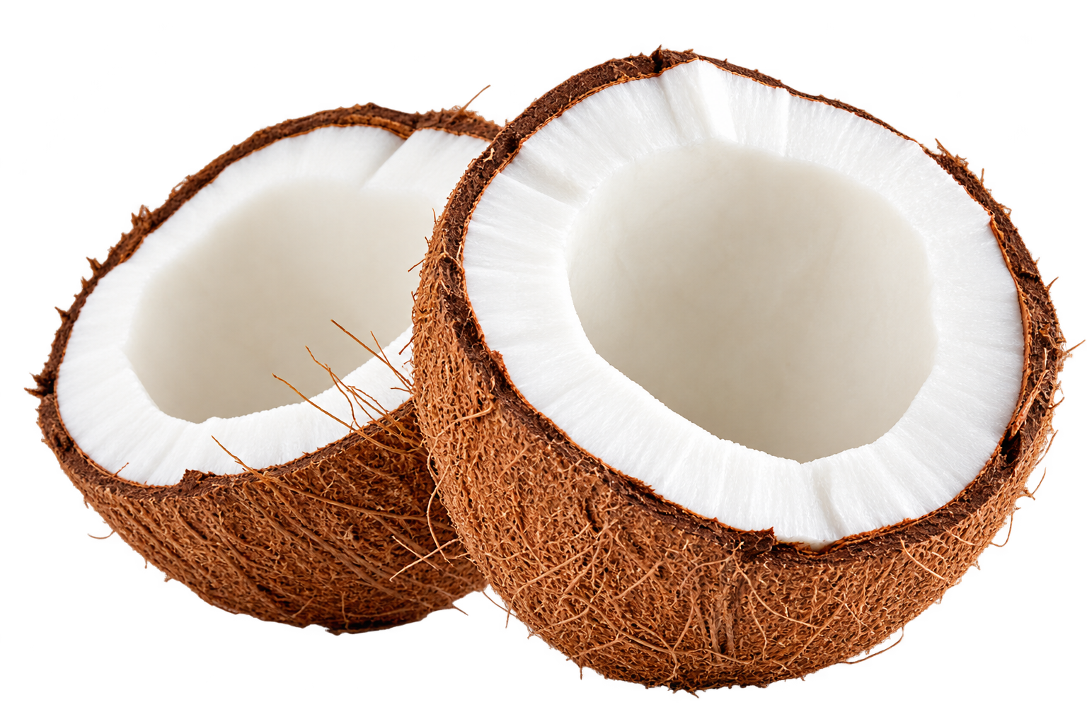 COCO SECO